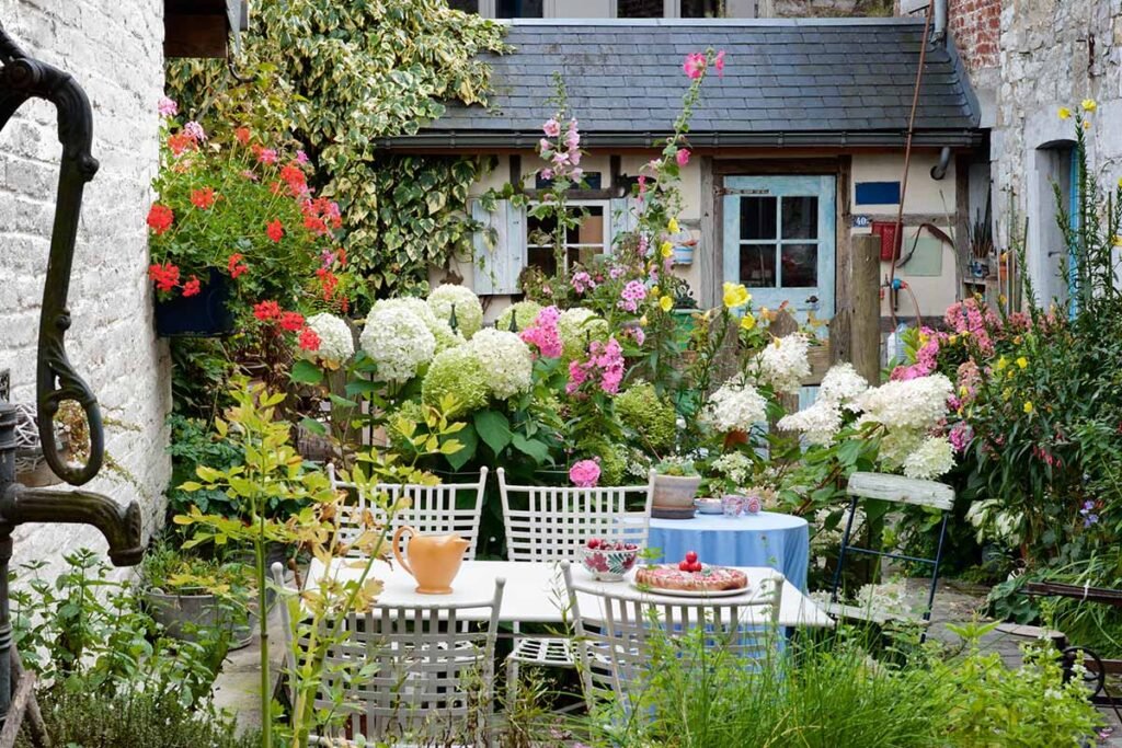 Best Plants for Small Backyard Gardens