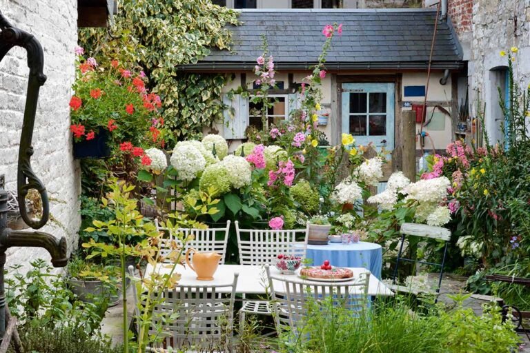 Best Plants for Small Backyard Gardens