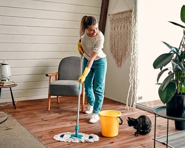Eco Friendly Cleaning Hacks Using Things You Already Own
