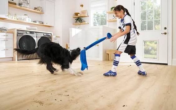 Best Flooring for Pet Owners: What Actually Holds Up in 2026